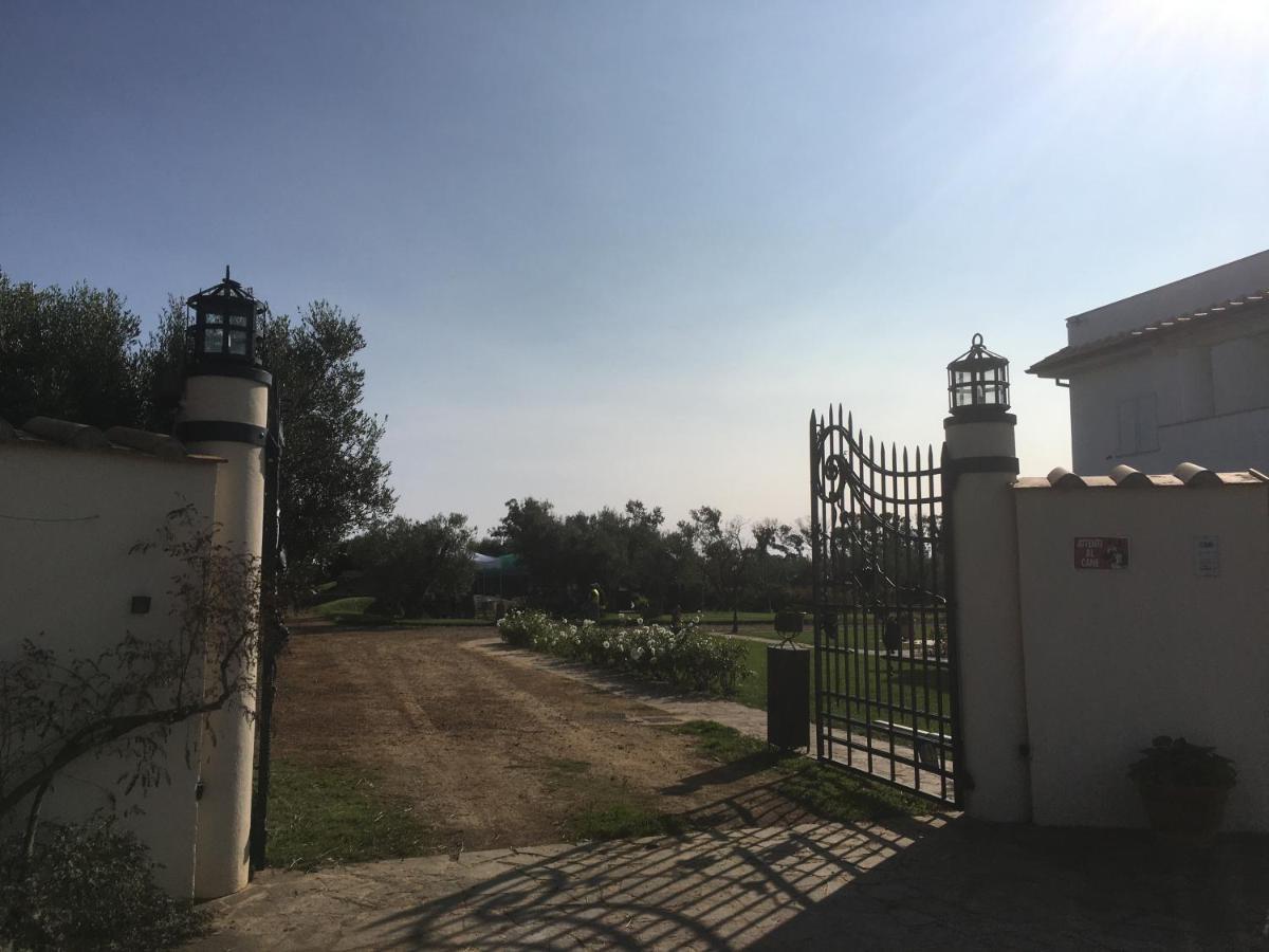 Villa Olga Тарквиния Экстерьер фото