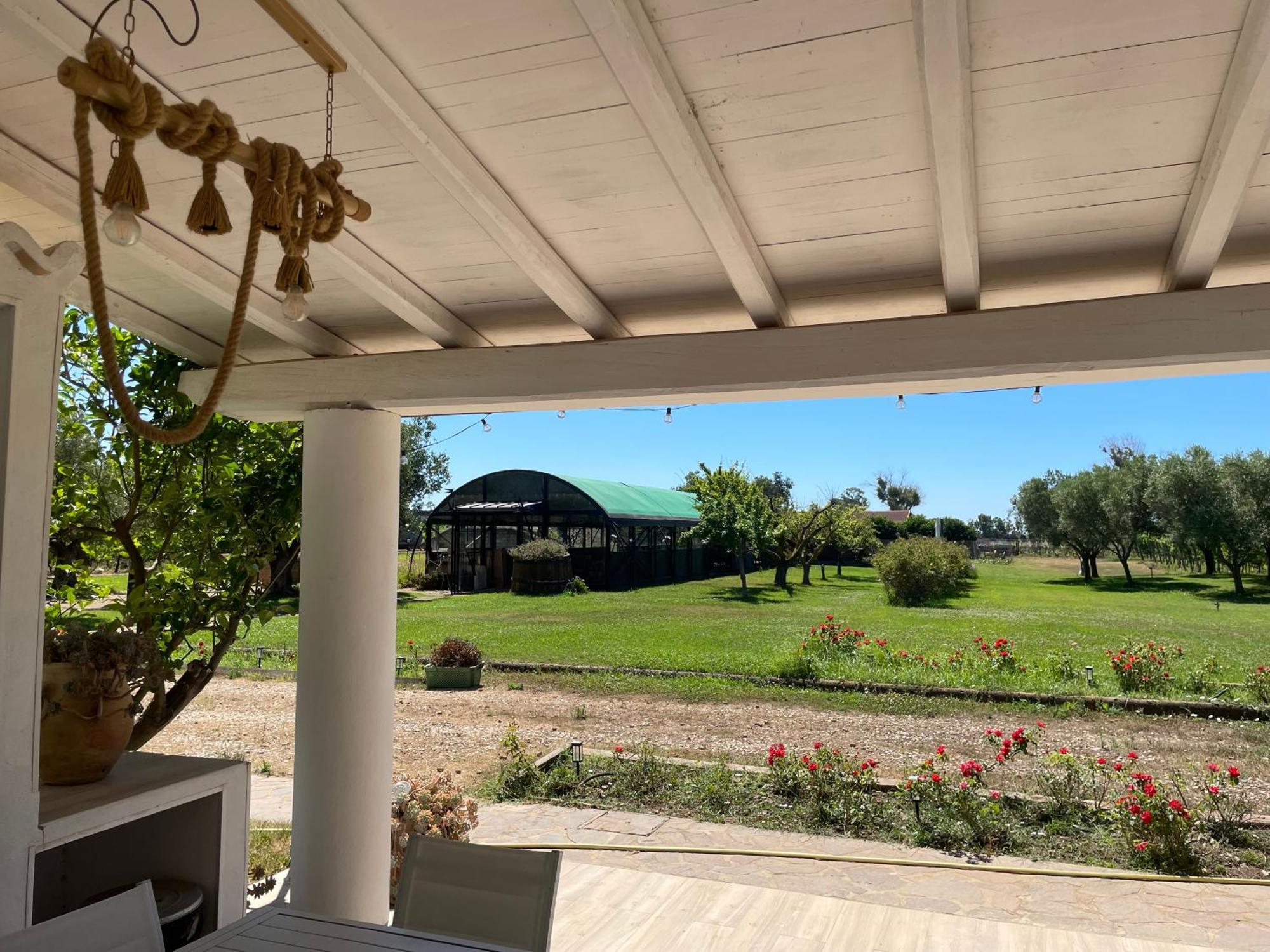 Villa Olga Тарквиния Экстерьер фото